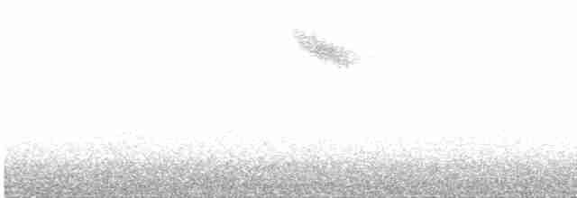 Redwing (Eurasian) - ML616203138