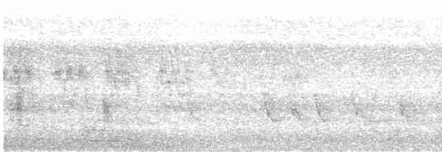 סנונית רפתות - ML616203821