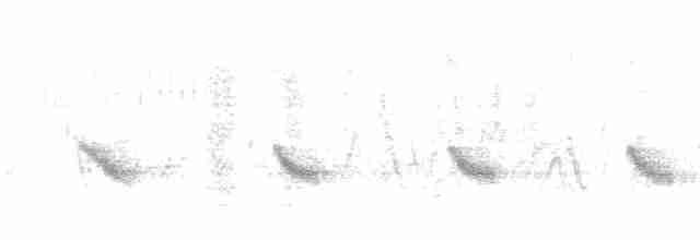 Büyük Mor Kırlangıç - ML616203969