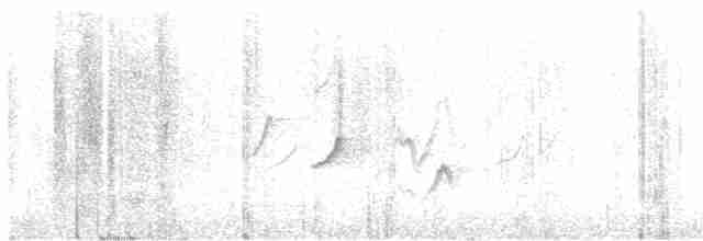 Зяблик гран-канарський - ML616203996