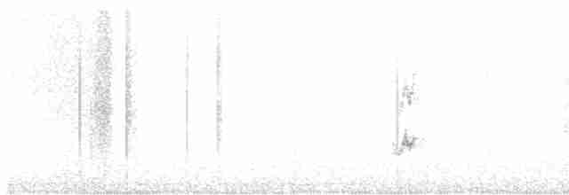 pěnkava tenerifská - ML616204099