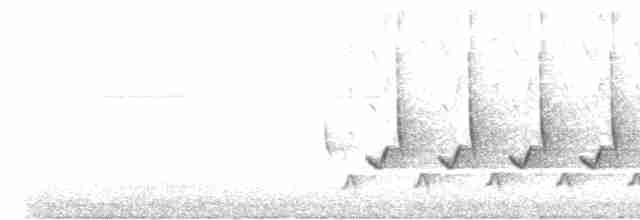 Поплітник каролінський - ML616204545