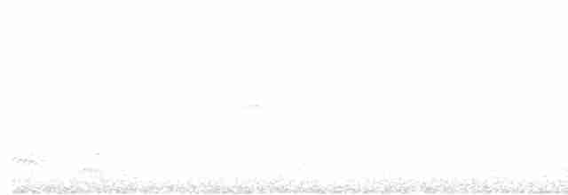 gransanger (tristis) (sibirgransanger) - ML616204794