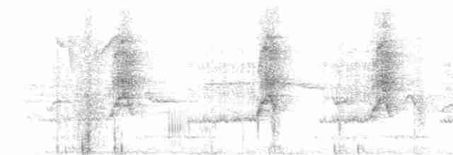 Кратеропа сіролоба - ML616205621