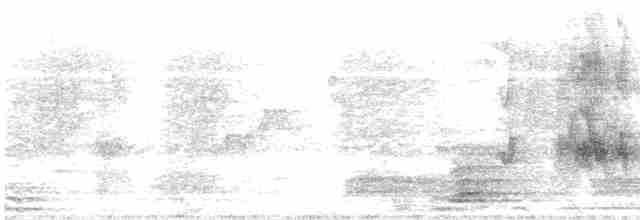 Джунглевая майна - ML616210152