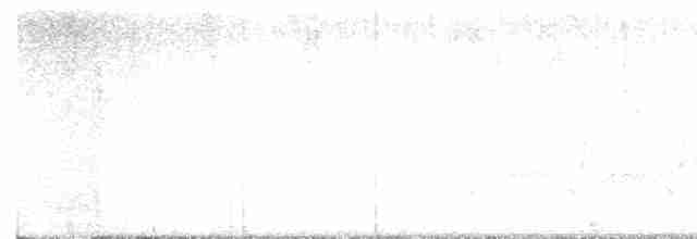 Black-throated Green Warbler - ML616211303