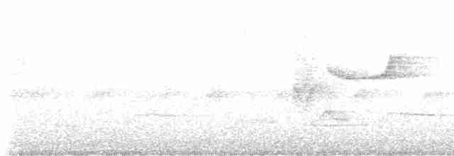 Eufonia Violácea - ML616212514