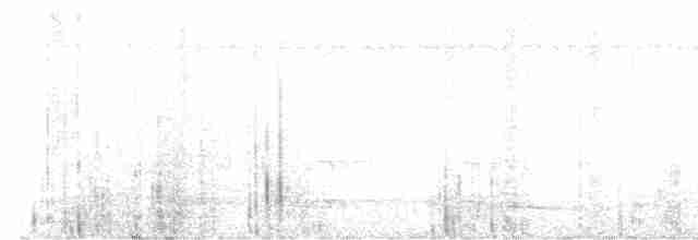 Northern Black-throated Trogon - ML616213104