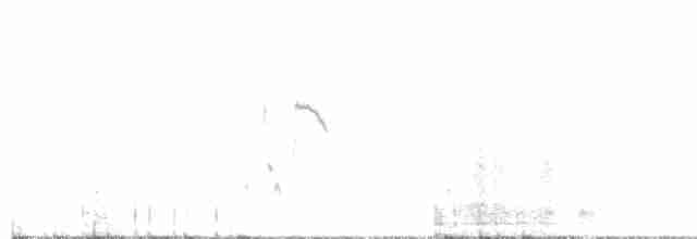 Iberian Gray Shrike - ML616213909