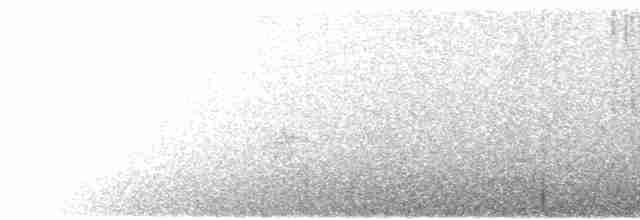 Dark-bellied Cinclodes - ML616215015