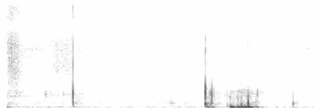 Black-tailed Trogon - ML616215257