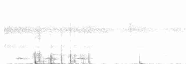 Black-tailed Trogon - ML616215258