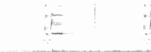 Loggerhead Shrike - ML616215526