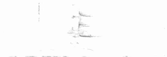 Loggerhead Shrike - ML616215527