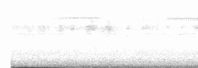 Сичик-горобець рудий [група brasilianum] - ML616215985