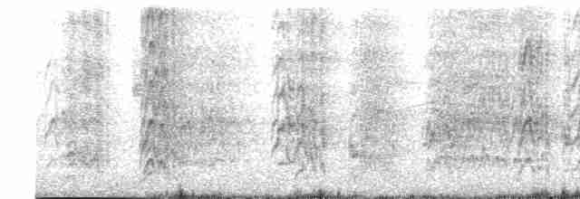 Аратинга ямайський (підвид astec/vicinalis) - ML616216122