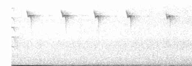 Амазилія юкатанська (підвид yucatanensis) - ML616216645