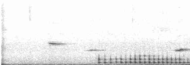 Жовна смугастобока [група lineatus] - ML616216855