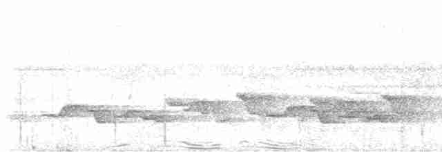 Белогрудый крапивник - ML616217011