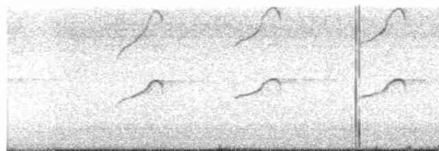 Шуляк ластівкохвостий - ML616218510