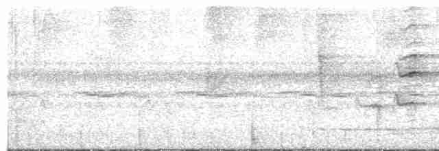 Bülbül Sesli Çıtkuşu - ML616218740