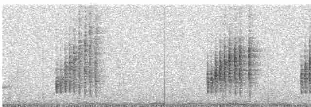 Troglodyte de Negret - ML616218758