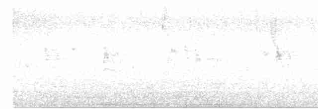 Турач сірий - ML616219009