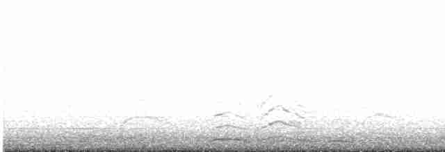 Tundra Swan - ML616221013