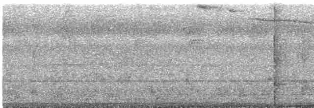 Тиранчик-мухолюб зелений - ML616222886