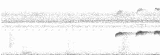 Grauscheitel-Ameisenvogel - ML616223113