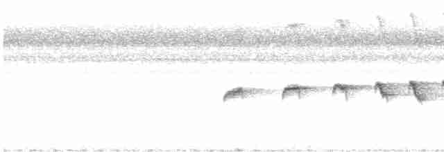 Grauscheitel-Ameisenvogel - ML616223131