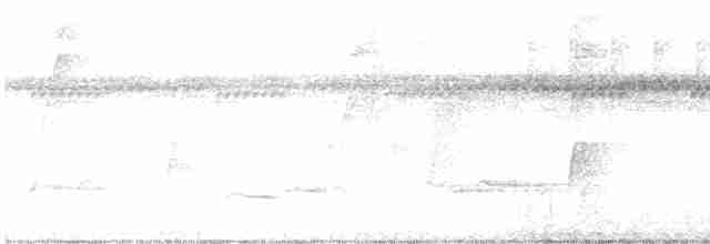 Güneyli Kara Yüzlü Kocabaş - ML616223294