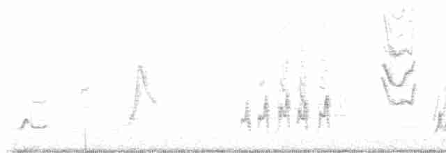 Curve-billed Thrasher - ML616223793
