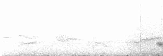 Сероголовая голубка (battyi/malae) - ML616225088