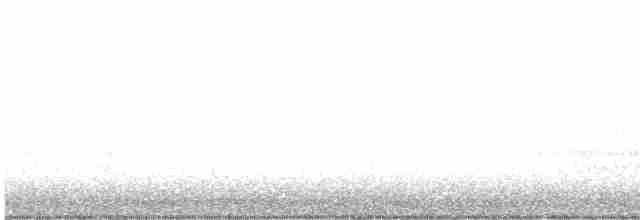 Kara Kuyruklu Bitkuşu - ML616225140