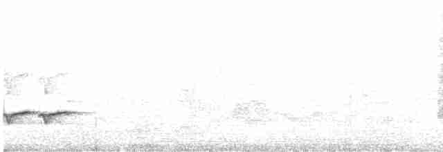 Weißkehldrossel - ML616225240