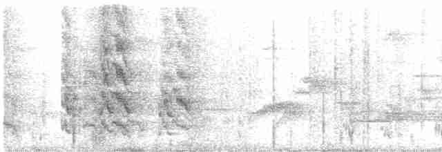 regnbueparakitt (eisenmanni) (azueroparakitt) - ML616225444