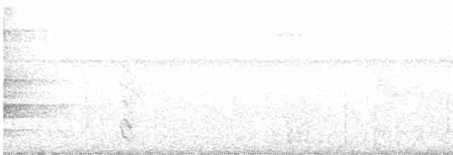 regnbueparakitt (eisenmanni) (azueroparakitt) - ML616226400