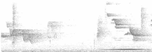 Сероголовая голубка (battyi/malae) - ML616226545