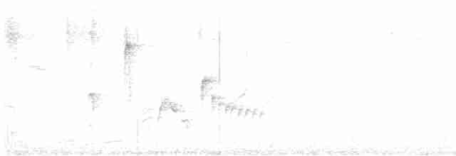 Vireo Ojiblanco - ML616226548