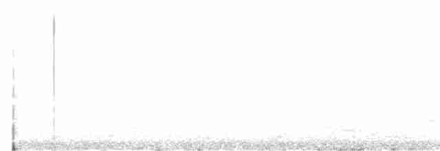 Лінивка-смугохвіст плямистобока - ML616231021