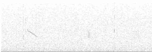 Plectrophane des neiges - ML616233591