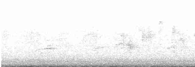 Blyth's Reed Warbler - ML616236527