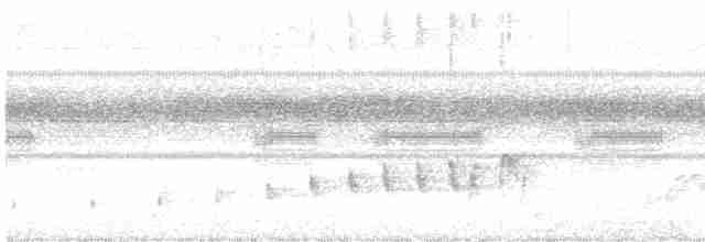 Buff-collared Nightjar - ML616239190