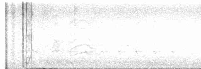 Горличка білолоба - ML616239276