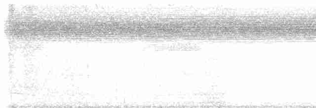 Braunhals-Nachtschwalbe - ML616239407