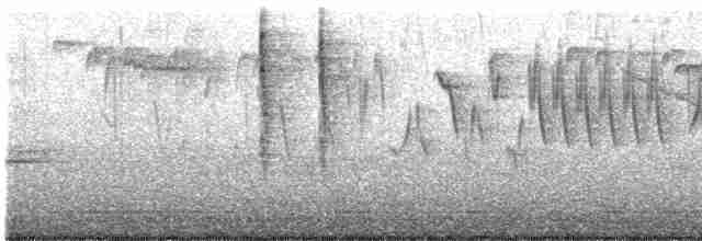 Troglodyte de Baird - ML616240015