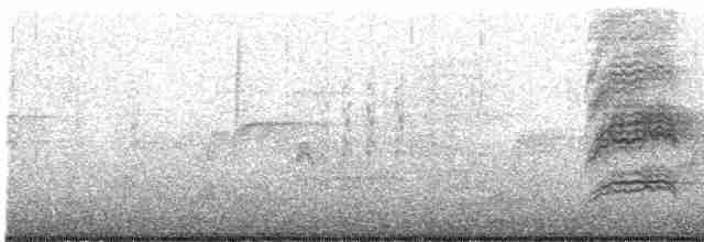 Дрізд-короткодзьоб плямистоволий - ML616240023