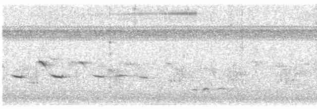 דררה אלכסנדרית (פליטת שבי) - ML616240137