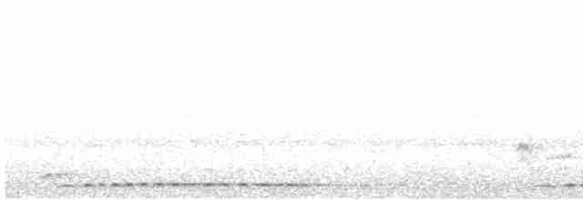 Бородастик жовтовусий (підвид chrysopsis) - ML616241658